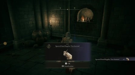 Elden Ring Tarnished Edition content