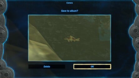 Zelda: Tears Of The Kingdom: How To Take Pictures 6