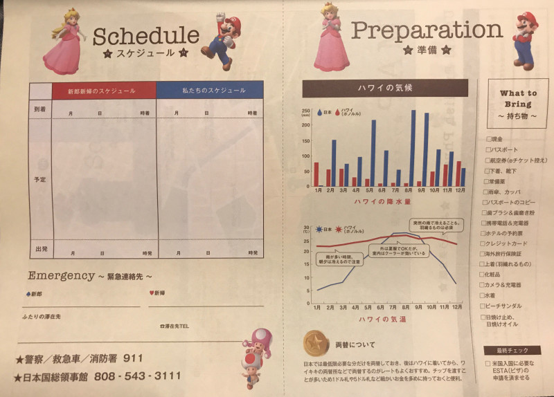 Random There S A Mario And Peach Marriage License Available In Japan Nintendo Life