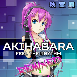 Akihabara - Feel the Rhythm Remixed Cover