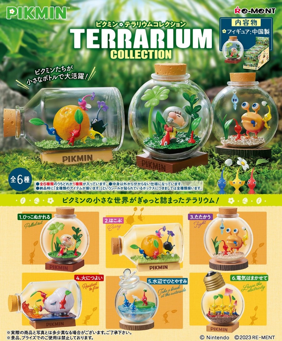 Terrarium Collection
