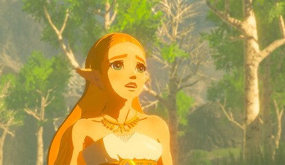 Zelda: Breath Of The Wild Hacker Arrested For Selling Modified Save Data