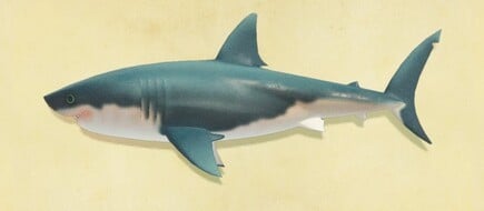 74. Great White Shark Animal Crossing New Horizons Fish