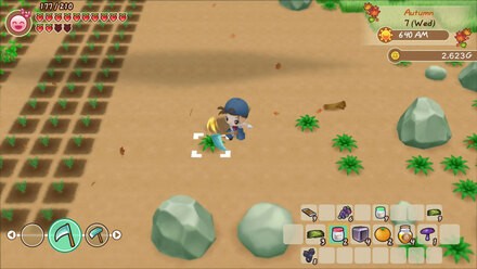 Story of Seasons Switch