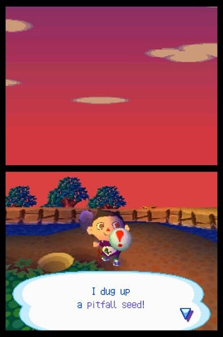 Animal Crossing: Wild World