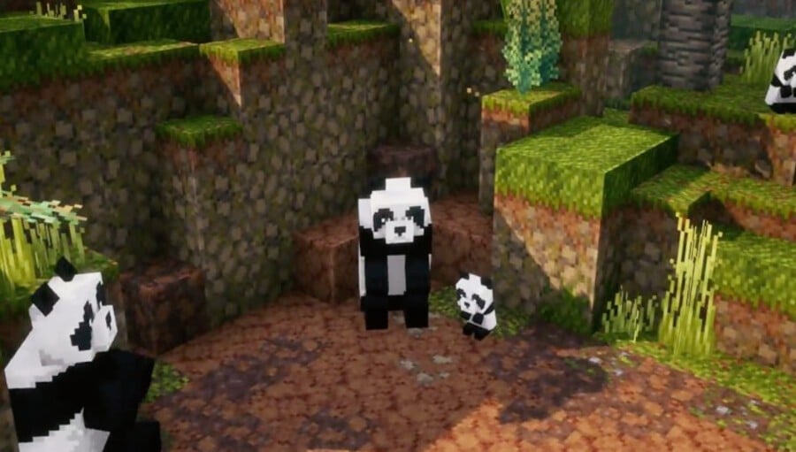 Free update - Panda