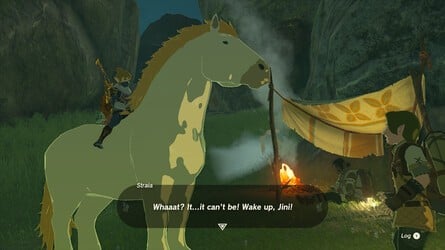 Zelda: Tears Of The Kingdom: Ride The Giant Horse Shrine Quest Solution - How To Get The White Stallion 5