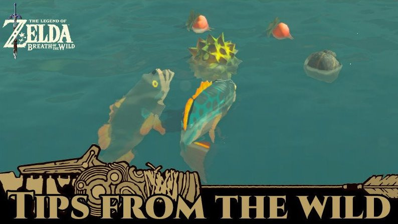 Zelda fish.jpg