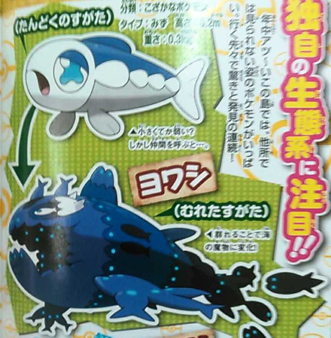 New Pokemon And Antagonists Team Skull Revealed For Pokemon Sun And Moon Nintendo Life