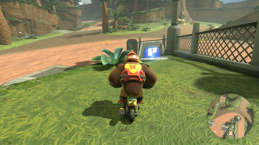 Jungle Safari Switch 21