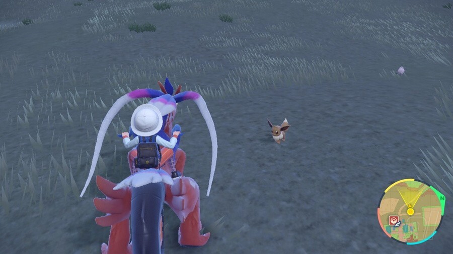 Pokémon Scarlet and Violet: how to capture an Eevee and get all of its evolutions - Meristation