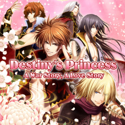 Destiny's Princess: A War Story, A Love Story Cover