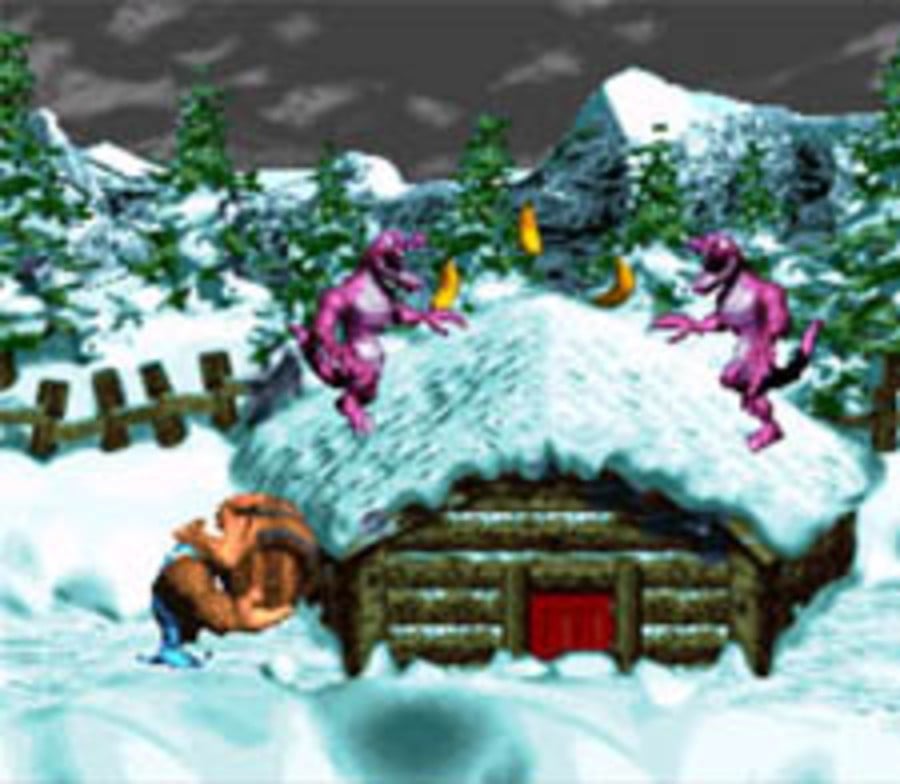 The graphics in DKC3 are some of the best the SNES has to offer.