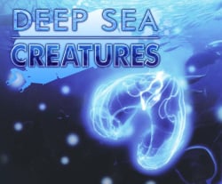 Deep Sea Creatures Cover