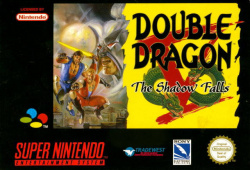 Double Dragon V: The Shadow Falls Cover