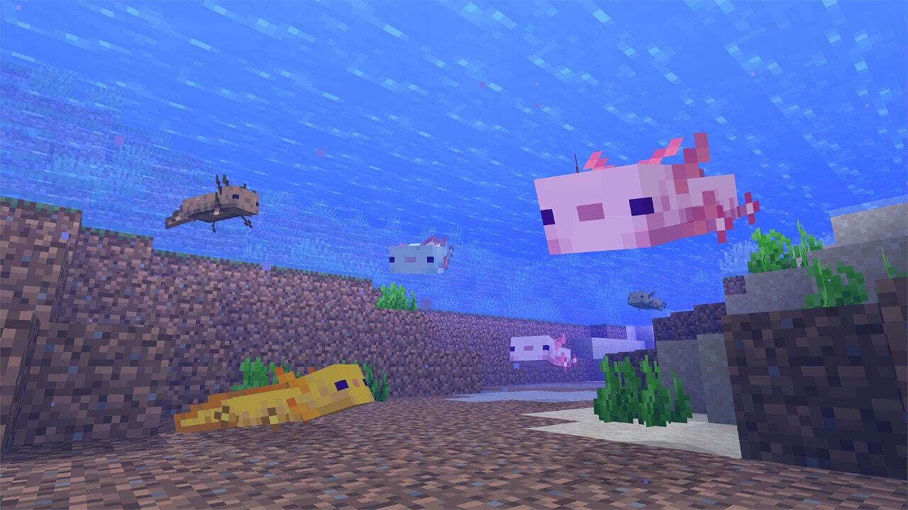 Minecraft 1.16.5 Release Candidate 1 is out, another Caves and Cliffs  snapshot hits next week