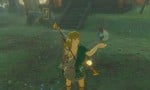 Random: Zelda: TOTK Players Build Cucco Traps For An Easy Way To Farm Eggs