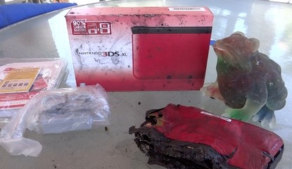 What Not To Do With Your Brand New 3DS XL