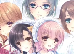Degica Brings Two Nurse Love Visual Novel Games To The Switch eShop Later This Week