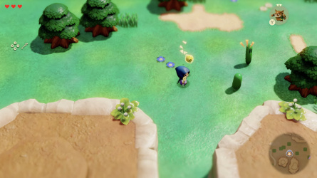 Zelda: Echoes of Wisdom Details