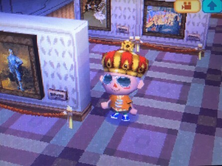 Animal Crossing Wild World Art Museum