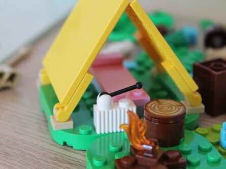 Mini Review: LEGO Animal Crossing - Bunnie's Outdoor Activities 38