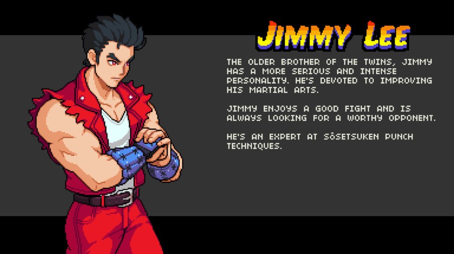 Double Dragon Gaiden Unlockable Characters and Bios