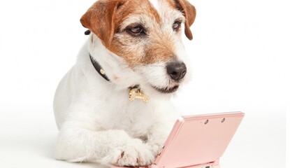 What Are You Playing This Weekend?