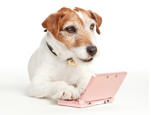 Even dogs relax with 3DS