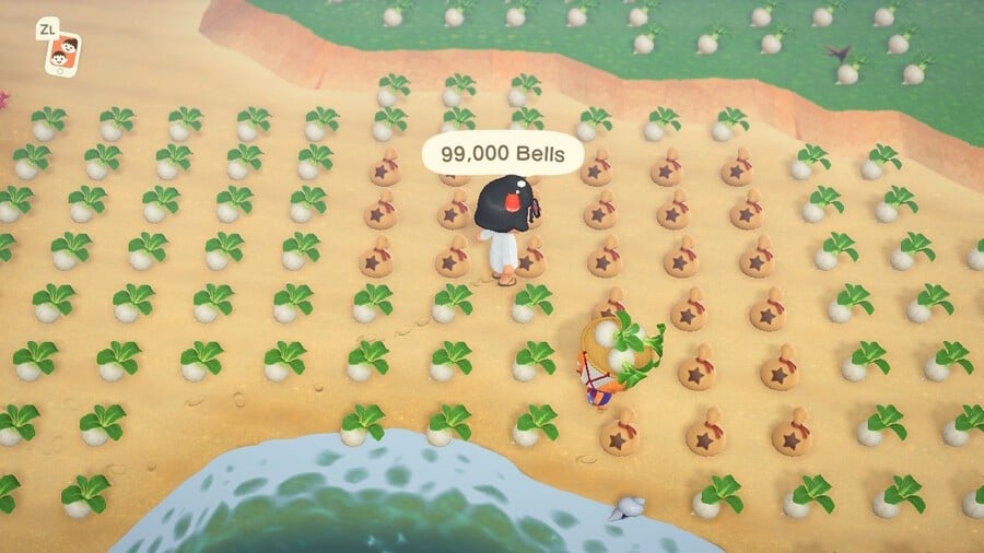 Animal Crossing New Horizons Stalk Market