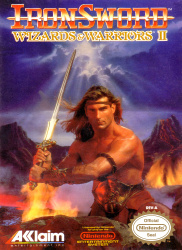 Ironsword: Wizards & Warriors II Cover