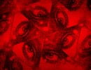 Precognition, A New Horror From Sam Barlow And Brandon Cronenberg, Is Confirmed For Switch 2
