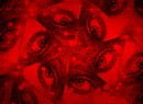Precognition, A New Horror From Sam Barlow And Brandon Cronenberg, Is Confirmed For Switch 2