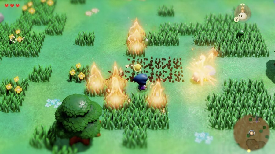 Zelda: Echoes of Wisdom Details