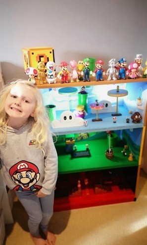 Home Made Super Mario World Play Set