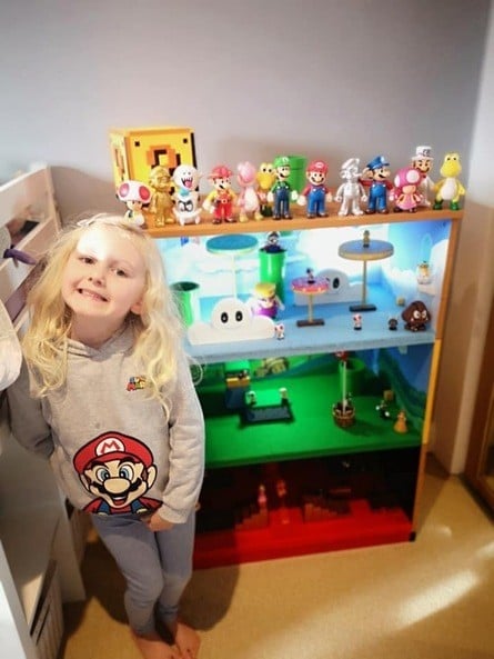 Home Made Super Mario World Play Set