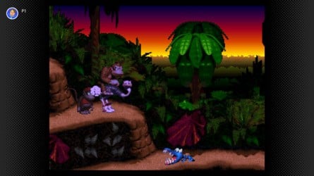 Donkey Kong Country