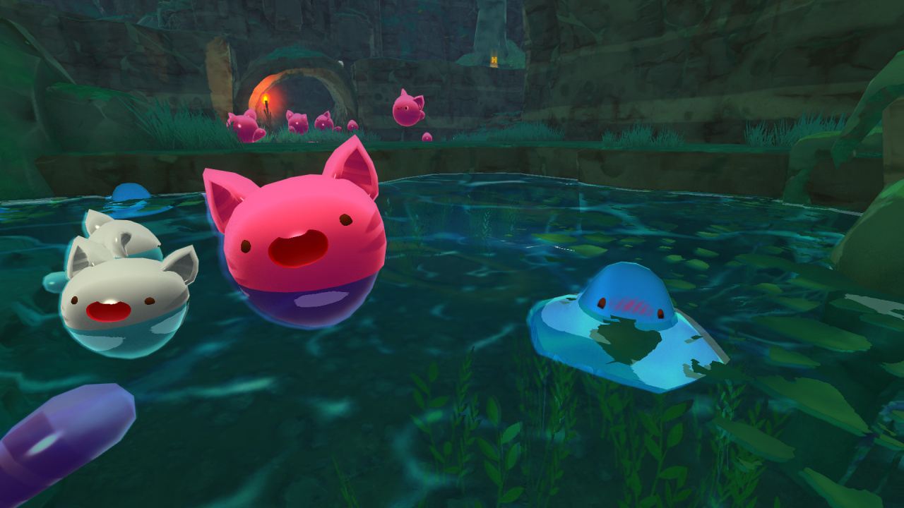 how to get to the wilds slime rancher