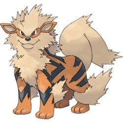 Arcanine