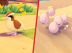 Pokémon Pokopia: Fly & Teleport - How To Find Missing Pokémon