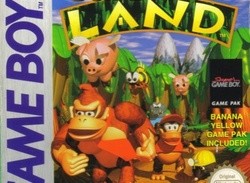 Donkey Kong Land Rated And Ready For North American 3DS Virtual Console Release