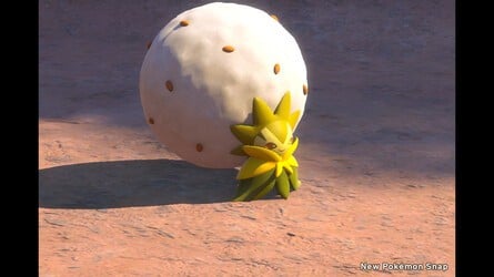 new pokemon snap