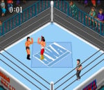 Super Fire Pro Wrestling