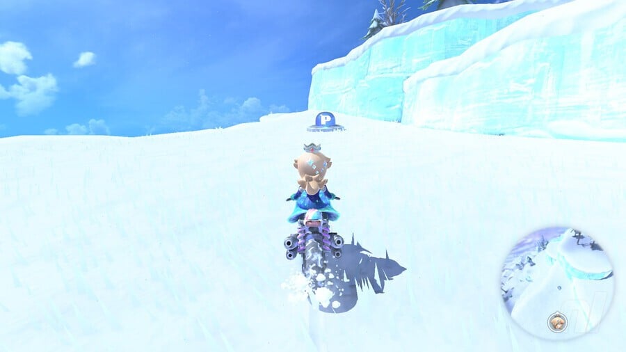 Snow P Switch 24