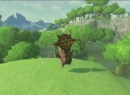 Take a Closer Look at Koroks in Breath of the Wild