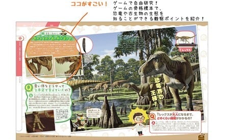 Animal Crossing Nature Encyclopedia 2