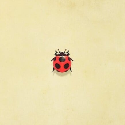 43. Ladybug Animal Crossing New Horizons Bug