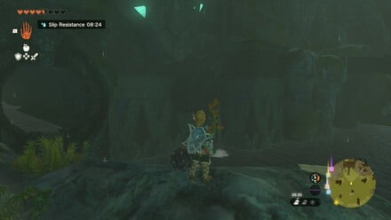 Zelda: Tears Of The Kingdom: How To Solve 'Clues To The Sky' Quest, Wellspring Island 14