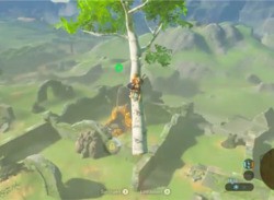 Completing Zelda: Breath Of The Wild In Under 40 Minutes By Flying On Trees
