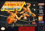 Natsume Championship Wrestling (SNES)